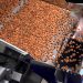 TOMRA Food merges best-in-class engineering and intelligence with launch of the TOMRA 5C
