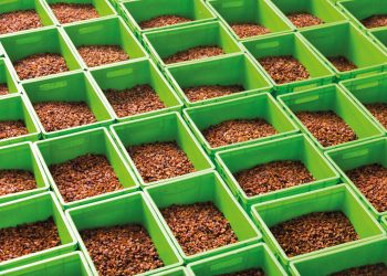 Dovido offers vitamin-packed natural products!