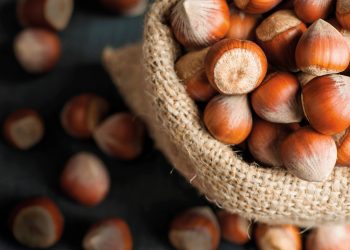 Turkey’s hazelnut exports hit 132,770 tons in Sept-Jan