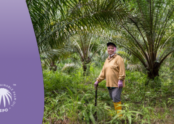 RSPO strengthens women’s role in sustainable palm oil production