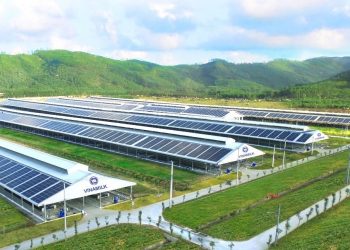 Vinamilk jumps six notches among global top 50 leading dairy companies