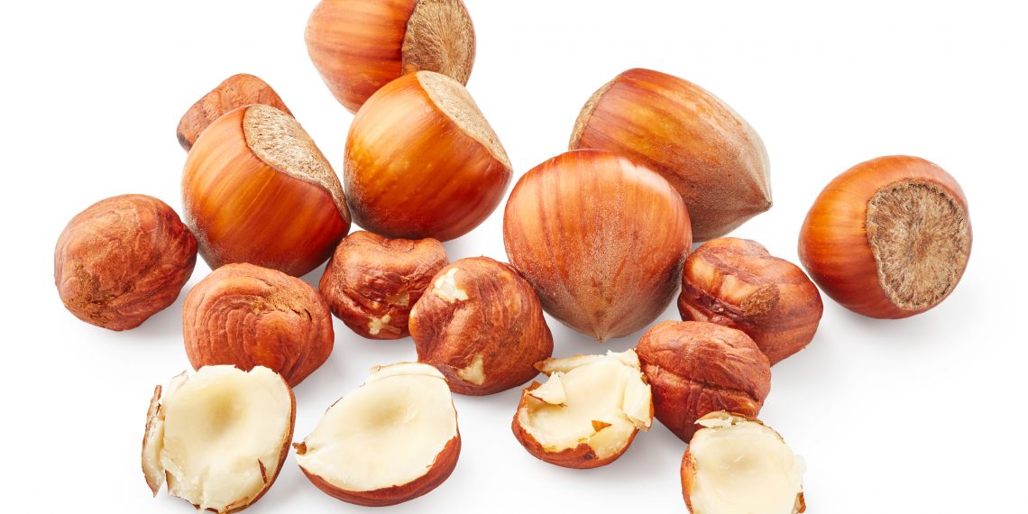 Sağlıklı ve kaliteli Türk fındığının saygın ismi: Gire Fındık