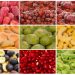 Mapeks Organics, TOMRA Blizzard ile dondurulmuş meyvede en yüksek kaliteyi hedefliyor
