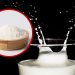 Spray agglomerating plant-based milk alternatives for optimised product properties