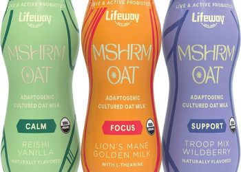 Lifeway Foods to introduce new line of adaptogenic functional mushroom drinks