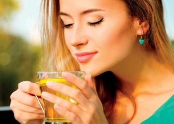 BlueBerry Agro-world leader in tea extracts and instant coffee