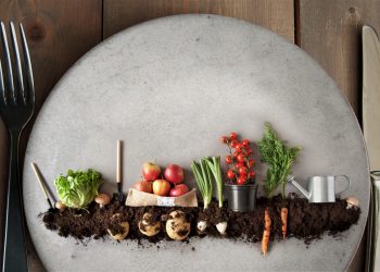 Plant-based sales increased 6%