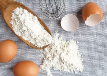 Global egg powder market to 2027