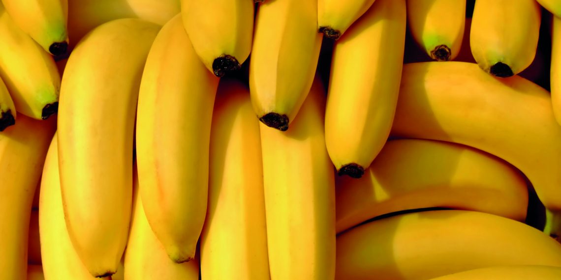 The government and the Pilipino Banana Growers and Exporters Association will promote pineapple trade to Japan