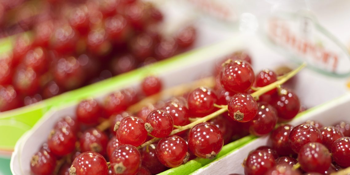 Asia Fruit Logistica heads to Bangkok in 2022