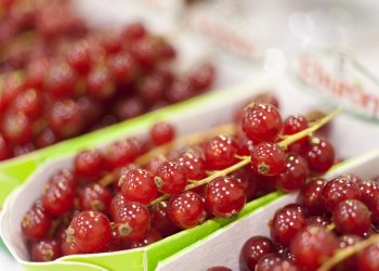 Asia Fruit Logistica heads to Bangkok in 2022