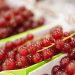 Asia Fruit Logistica heads to Bangkok in 2022