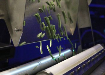 TOMRA Food, dondurulmuş IQF sebze ve meyveler için BSI teknolojisine sahip yeni premium ayıklama makinesini tanıttı