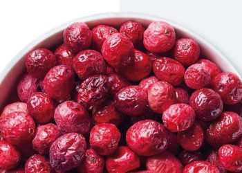 Global processed fruits market – industry trends and forecast to 2029