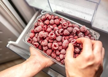 Food security concerns could keep frozen sales buoyant