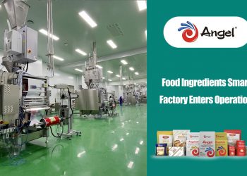 Angel Yeast’s new food ingredients smart factory enters operation