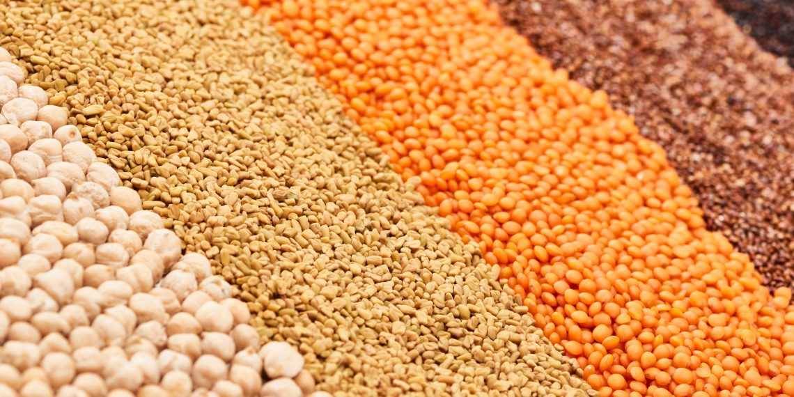 Lithuania receives first Ukrainian grain by rail for onward shipment