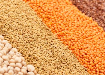 Lithuania receives first Ukrainian grain by rail for onward shipment