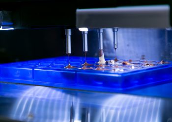 Great success for IPACK-IMA, which ended after four days of innovation, sustainability and technology transfer