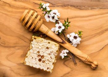The story of the manuka honey from New Zealand