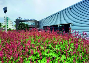 Machine manufacturer food industry seeks sustainable solution, Industrial Auctions offers outcome