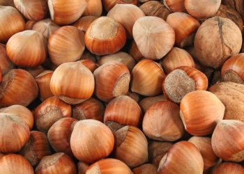 Balsu Gıda, halka arz başvurusunu Sermaye Piyasası Kurulu’ndan geri çekti