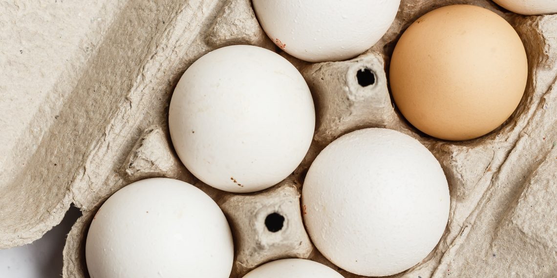 Significant growth in the poultry industry has led to rising demand for egg packs for egg storage