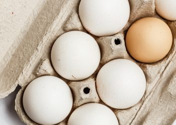 Significant growth in the poultry industry has led to rising demand for egg packs for egg storage