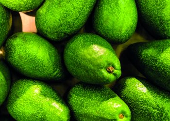 Avocado market – Growth, trends and Covid-19 impact