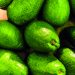 Avocado market – Growth, trends and Covid-19 impact