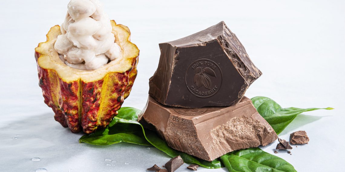 Barry Callebaut confirms no salmonella positive chocolate entered the retail food chain