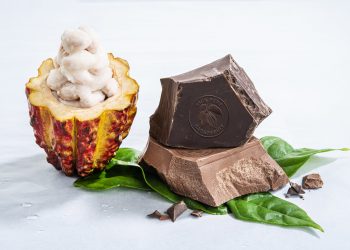 Barry Callebaut confirms no salmonella positive chocolate entered the retail food chain