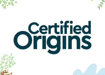 Certified Origins Group invests in an innovative 4.0 production line for traceable extra virgin olive oil