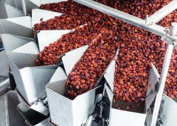 Dovido at the service of sultana and raisin lovers for a quarter century