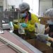 Cermount’s supplements and food packaging brand expansion promotes pride and purpose