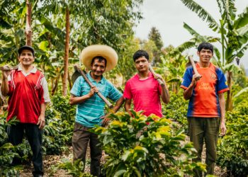 ofi reaffirms commitment to a more resilient coffee supply chain in face of rising market volatility