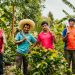 ofi reaffirms commitment to a more resilient coffee supply chain in face of rising market volatility