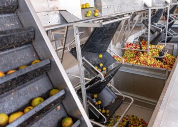 Fruit and vegetable processing equipment market revenue to reach $10.2 bn by 2030