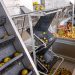 Fruit and vegetable processing equipment market revenue to reach $10.2 bn by 2030