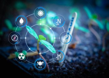 How are AI and Big Data used within the food industry?