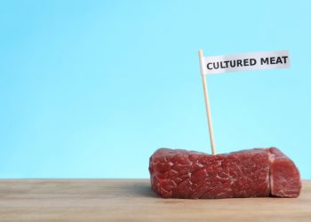 Cultured meat can help treat an unhealthy planet – and improve our own health too