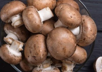 Mycel raises €10 million for ambitious plans to commercialise fungi-based meat