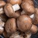 Mycel raises €10 million for ambitious plans to commercialise fungi-based meat