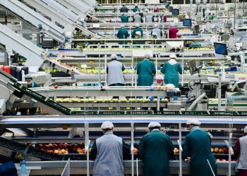Food industry automation solving industry challenges