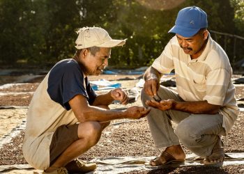 Symrise achieves strong sales growth in the first half of 2022