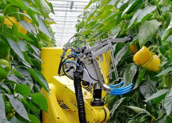 Küresel gıda krizinde FANUC robotları sürdürülebilir tarımı destekliyor