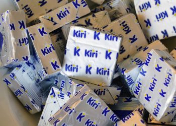 Bel buys majority of China’s Shandong Junjun Cheese Co.