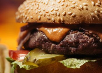 Affordable meal packages offered by fast food chains to push processed meat market demand at US$ 356.6 billion by 2031