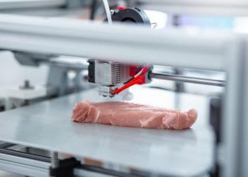Cultured Meat Company MeaTech 3D becomes Steakholder™ Foods