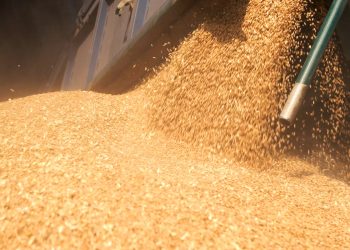First ship carrying Ukraine wheat under U.N. deal docks in Turkey